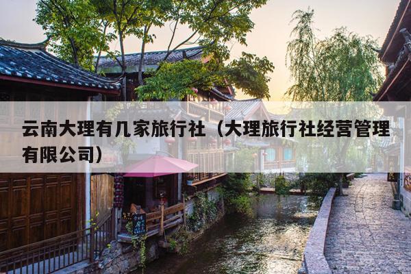 云南大理有几家旅行社（大理旅行社经营管理有限公司）