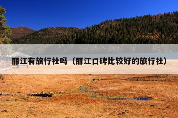 丽江有旅行社吗（丽江口碑比较好的旅行社）