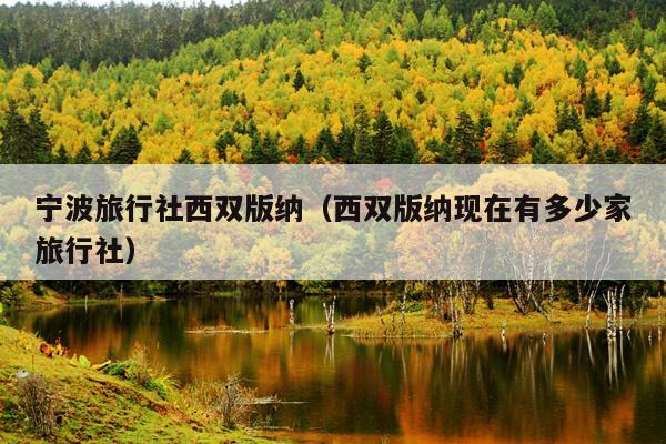宁波旅行社西双版纳（西双版纳现在有多少家旅行社）