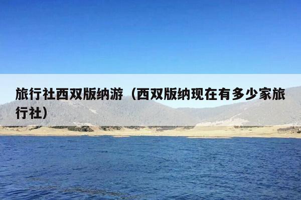 旅行社西双版纳游（西双版纳现在有多少家旅行社）