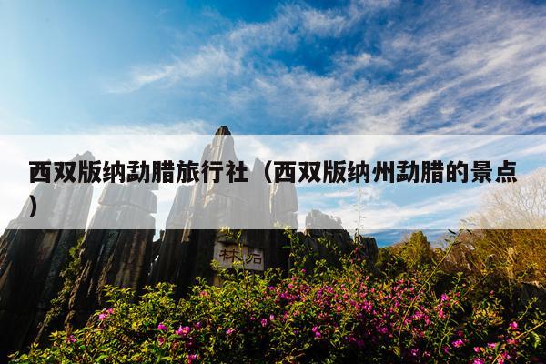 西双版纳勐腊旅行社（西双版纳州勐腊的景点）