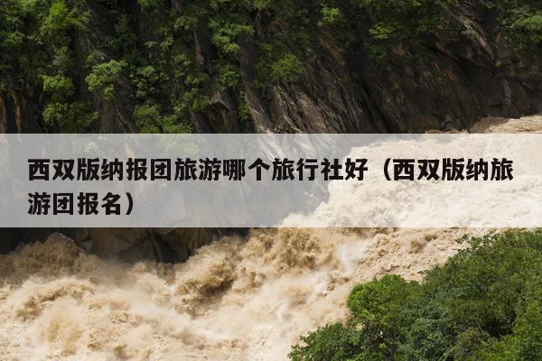 西双版纳报团旅游哪个旅行社好（西双版纳旅游团报名）