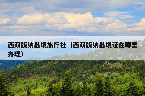 西双版纳出境旅行社（西双版纳出境证在哪里办理）