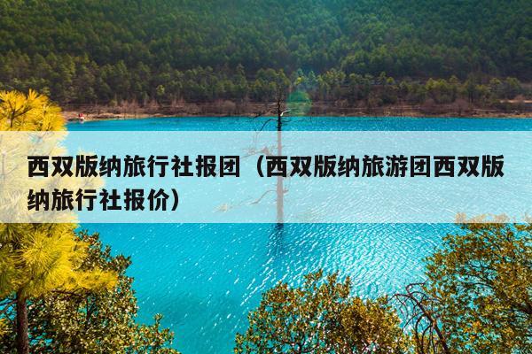西双版纳旅行社报团（西双版纳旅游团西双版纳旅行社报价）