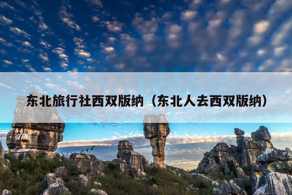 东北旅行社西双版纳（东北人去西双版纳）