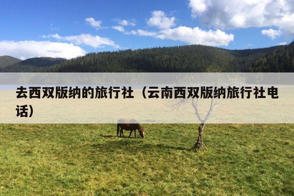 去西双版纳的旅行社（云南西双版纳旅行社电话）