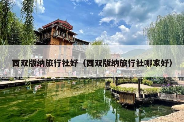 西双版纳旅行社好（西双版纳旅行社哪家好）