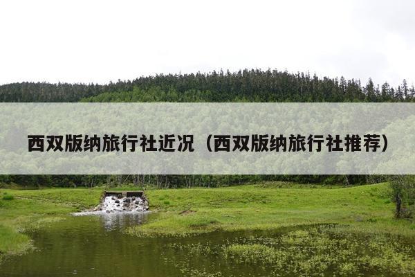 西双版纳旅行社近况（西双版纳旅行社推荐）