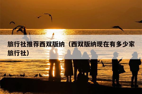 旅行社推荐西双版纳（西双版纳现在有多少家旅行社）