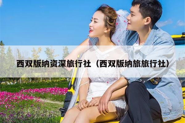 西双版纳资深旅行社（西双版纳旅旅行社）