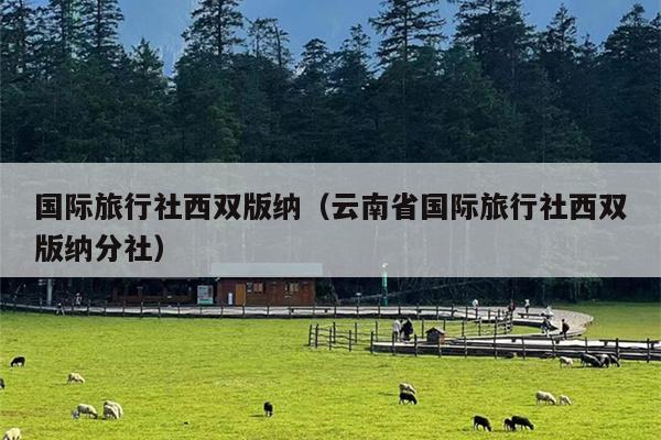国际旅行社西双版纳（云南省国际旅行社西双版纳分社）
