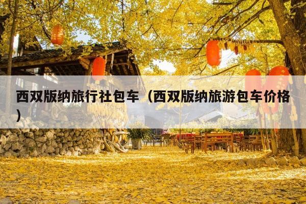 西双版纳旅行社包车（西双版纳旅游包车价格）