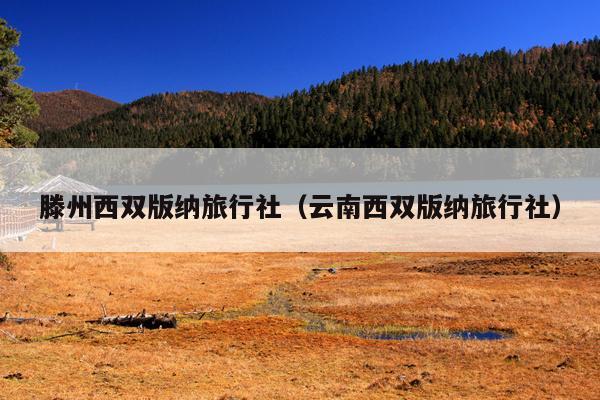滕州西双版纳旅行社（云南西双版纳旅行社）