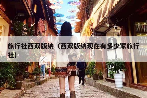 旅行社西双版纳（西双版纳现在有多少家旅行社）