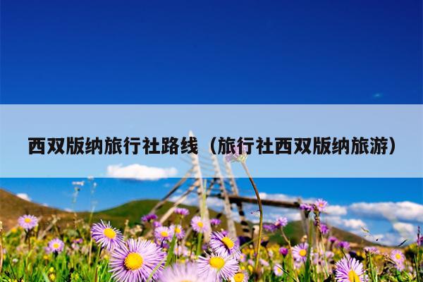 西双版纳旅行社路线（旅行社西双版纳旅游）