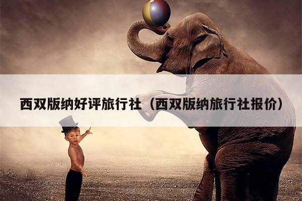 西双版纳好评旅行社（西双版纳旅行社报价）