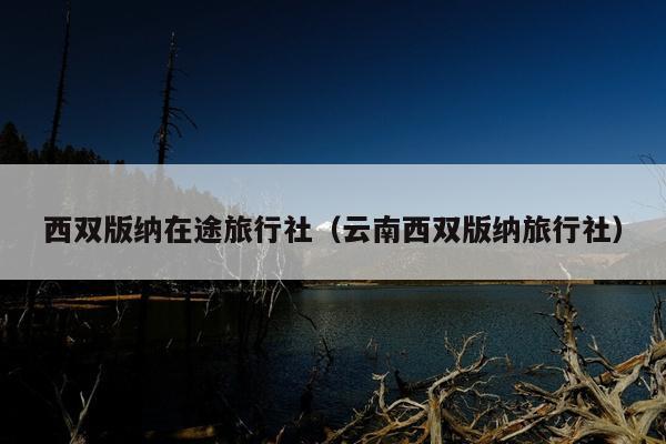 西双版纳在途旅行社（云南西双版纳旅行社）