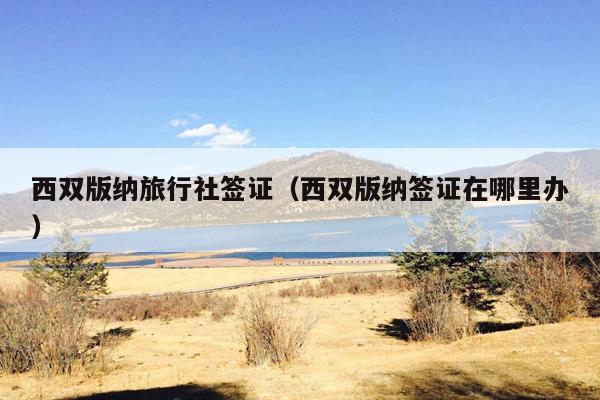 西双版纳旅行社签证（西双版纳签证在哪里办）