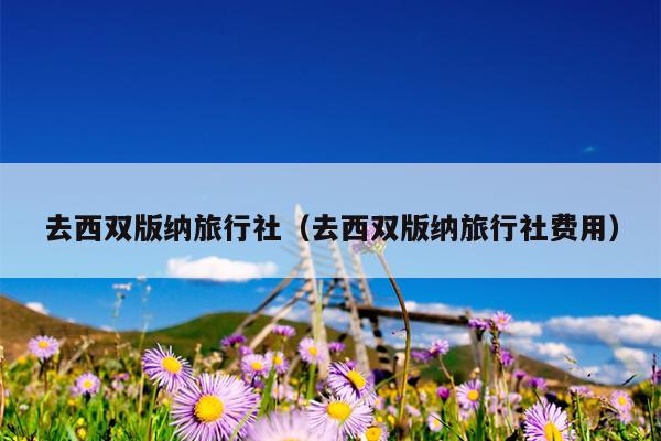 去西双版纳旅行社（去西双版纳旅行社费用）