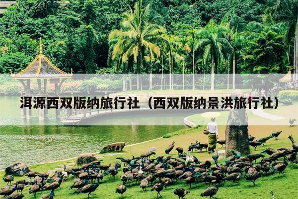 洱源西双版纳旅行社（西双版纳景洪旅行社）