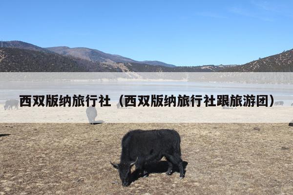 西双版纳旅行社（西双版纳旅行社跟旅游团）