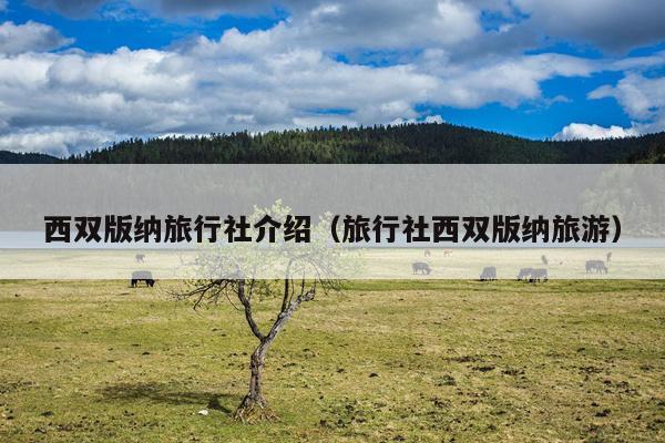 西双版纳旅行社介绍（旅行社西双版纳旅游）