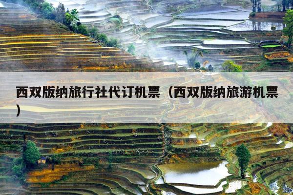 西双版纳旅行社代订机票（西双版纳旅游机票）