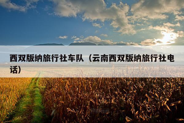 西双版纳旅行社车队（云南西双版纳旅行社电话）