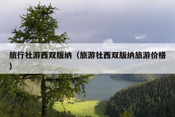 旅行社游西双版纳（旅游社西双版纳旅游价格）