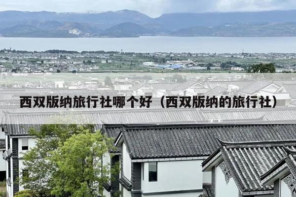 西双版纳旅行社哪个好（西双版纳的旅行社）