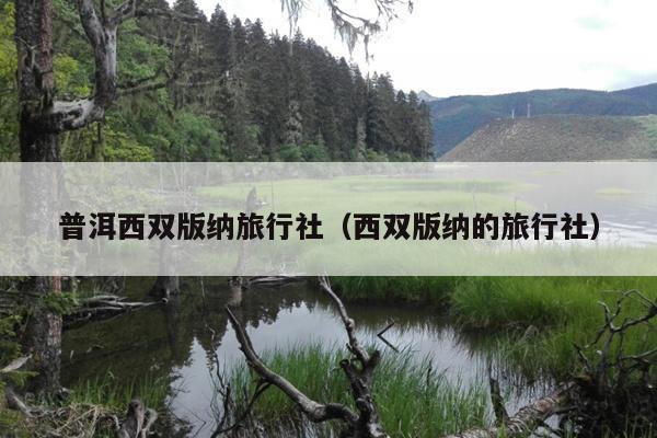 普洱西双版纳旅行社（西双版纳的旅行社）