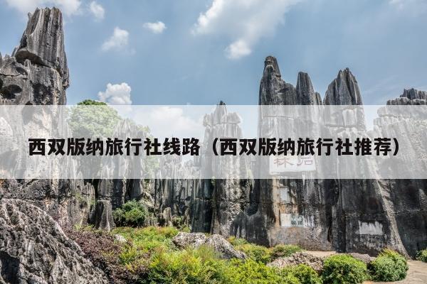 西双版纳旅行社线路（西双版纳旅行社推荐）