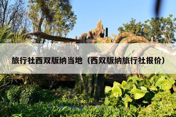 旅行社西双版纳当地（西双版纳旅行社报价）