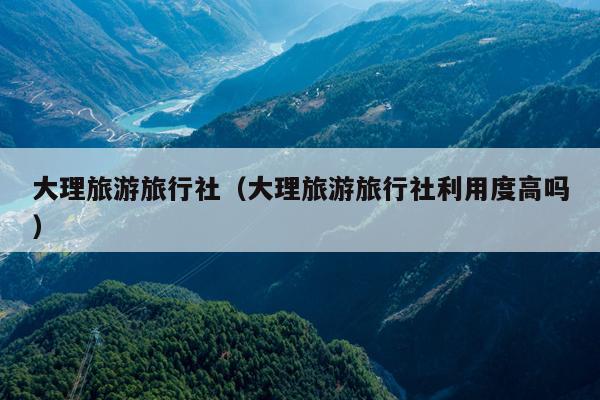 大理旅游旅行社（大理旅游旅行社利用度高吗）
