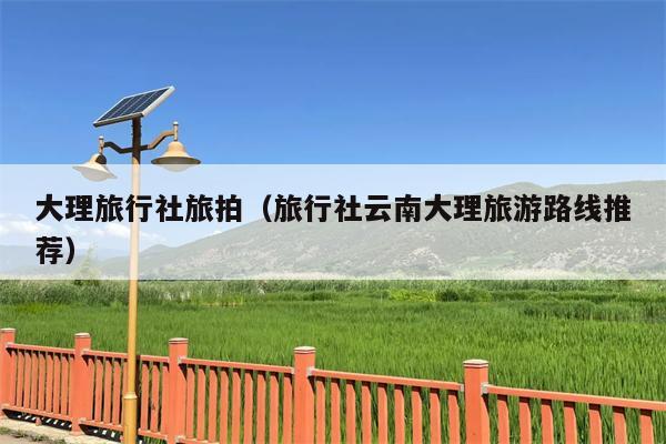 大理旅行社旅拍（旅行社云南大理旅游路线推荐）