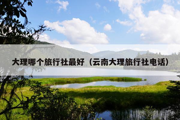 大理哪个旅行社最好（云南大理旅行社电话）