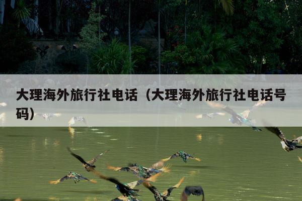 大理海外旅行社电话（大理海外旅行社电话号码）