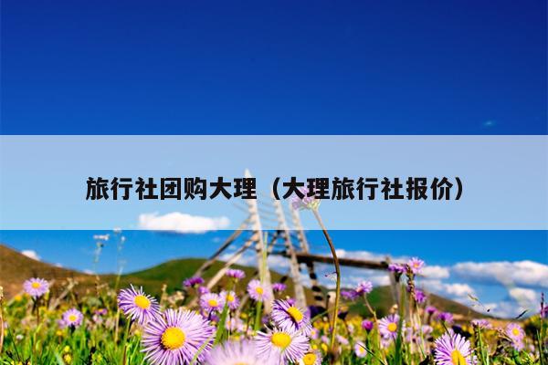 旅行社团购大理（大理旅行社报价）