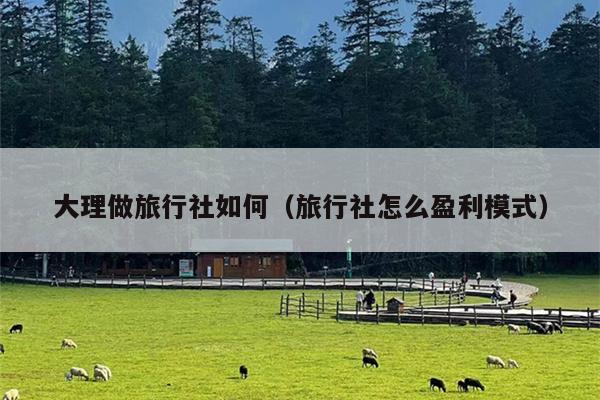 大理做旅行社如何（旅行社怎么盈利模式）