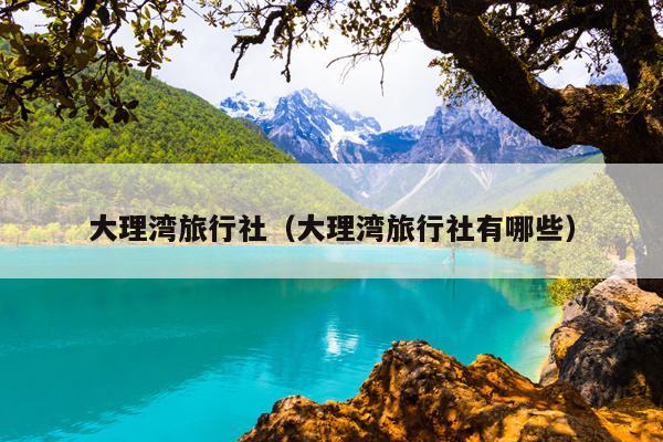 大理湾旅行社（大理湾旅行社有哪些）