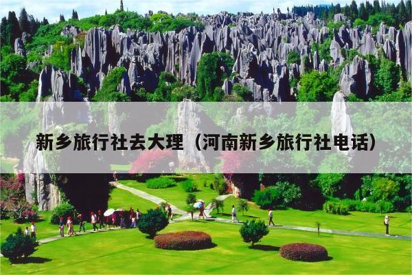 新乡旅行社去大理（河南新乡旅行社电话）