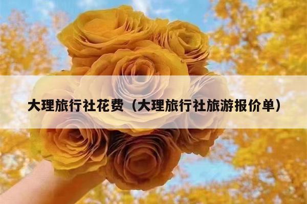 大理旅行社花费（大理旅行社旅游报价单）