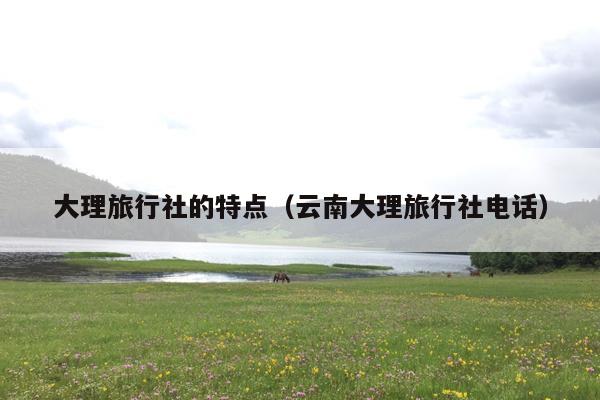 大理旅行社的特点（云南大理旅行社电话）