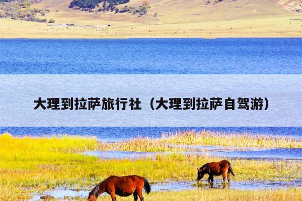 大理到拉萨旅行社（大理到拉萨自驾游）