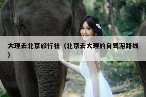 大理去北京旅行社（北京去大理的自驾游路线）