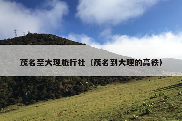 茂名至大理旅行社（茂名到大理的高铁）