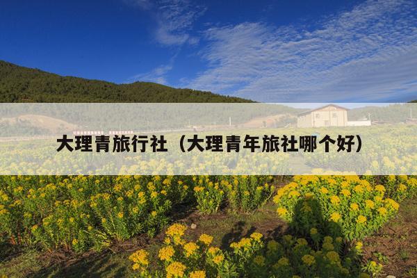大理青旅行社（大理青年旅社哪个好）
