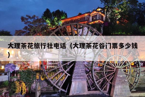大理茶花旅行社电话（大理茶花谷门票多少钱）