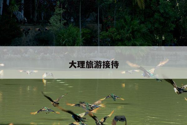 大理旅游接待